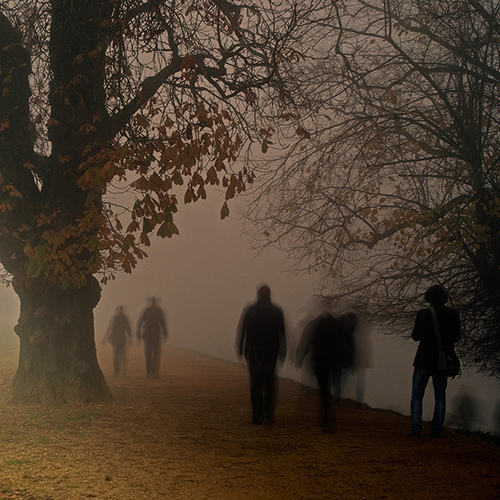 Richmond Park, London